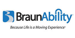 braun logo